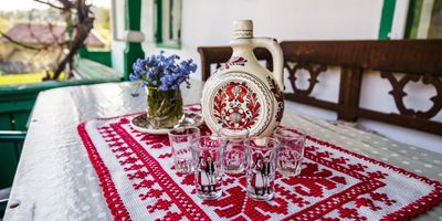 Cabana Lázár Șiclod - foto 2