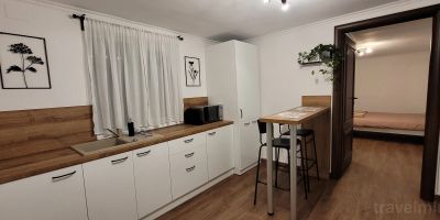 Rose Garden House București - foto 2
