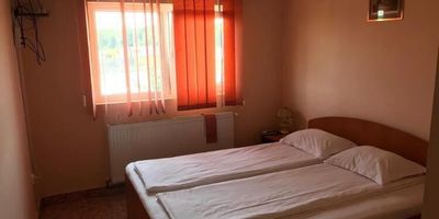 Motel Still Lintești - foto 3