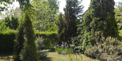 Családi Pihenő Apartman Balatonfüred - foto 5