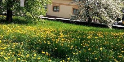 Pensiunea Boca Voroneț - foto 2