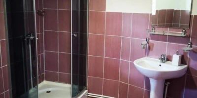 Pensiunea Boca Voroneț - foto 3