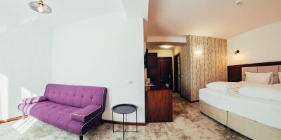 Hotel Buchenland Gura Humorului - foto 4