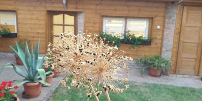 MohApartman Gyöngyössolymos - foto 4