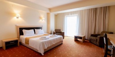 Hotel Oxford Inn & Suites Timișoara - foto 3