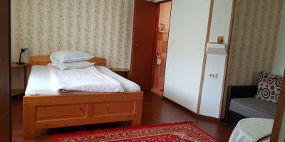 Pensiunea Steliana Sibiel - foto 3