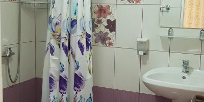 Pensiunea Steliana Sibiel - foto 5