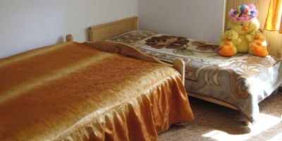 Pensiunea Dor de Bucovina Câmpulung Moldovenesc - foto 5