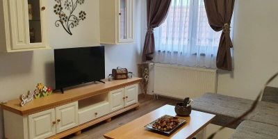 Apartament Smiley Flowers Sibiu - foto 5