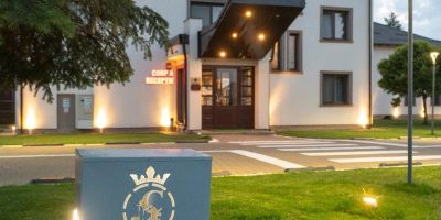 Hotel Conacul Domnesc Șcheia - foto 4