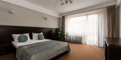 Hotel Restaurant Alesia Corunca - foto 4