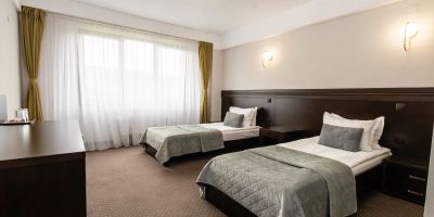 Hotel Restaurant Alesia Corunca - foto 3