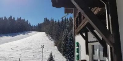 Pensiunea Alpin Predeal - foto 3