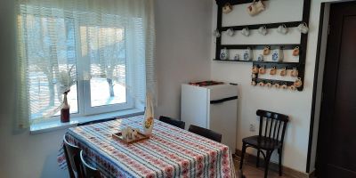 Casa Dumitru si Elena Ciocănești - foto 4