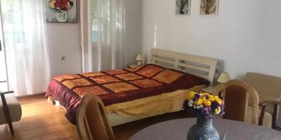Pensiunea Casuta Sanatatii Covasna - foto 3