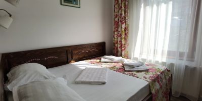 Pensiunea Geostar Curtea de Argeș - foto 4