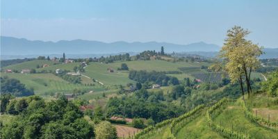 Vendégház Štrigova - CCC036 - foto 2
