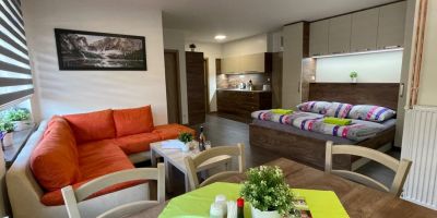 Apartmány WELLNESS Vlčková - foto 4