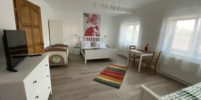 Farmerland Villa Abádszalók - foto 3