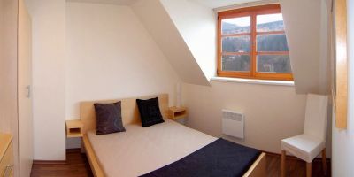 Apartmán Říčky U Sněžného Lva Říčky v Orlických horách - foto 2