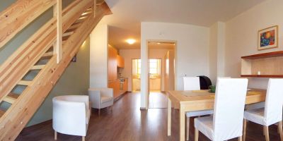 Apartmán Říčky U Sněžného Lva Říčky v Orlických horách - foto 5
