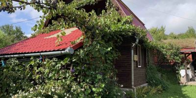 Cabana Kovács Mária Praid - foto 2