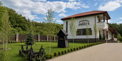 Pensiunea Emelys Pietrăria - foto 4