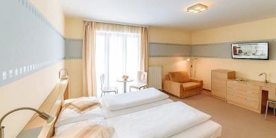 Hotel Biograf Písek II - foto 3