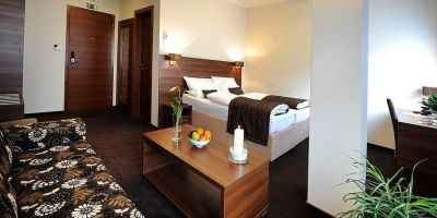 Hotel Biograf Písek II - foto 5