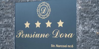 Pensiunea Dora Tășnad - foto 3