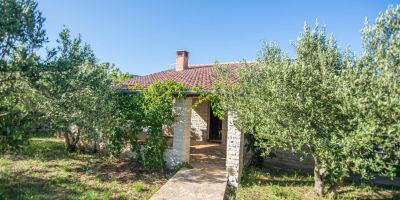 House Pool House Lake by the sea Pirovac - foto 3
