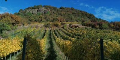 Csobánc Szerelem "A" Vendégház Gyulakeszi - foto 4