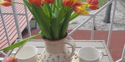 Egniss Apartman 2 Bogács - foto 2