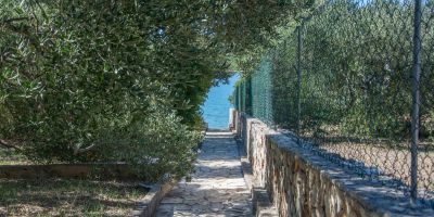 House Olive Tree Tkon - foto 3