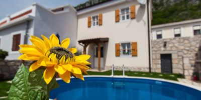 Villa Ljilja Grižane - foto 3