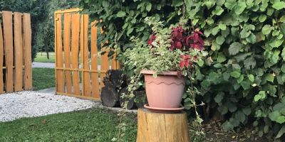 Csemo Nyaraló Békésszentandrás - foto 2