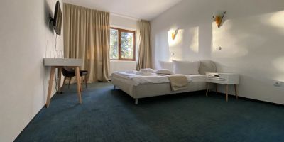 Hotel Chalet Wiese Poiana Brașov - foto 4