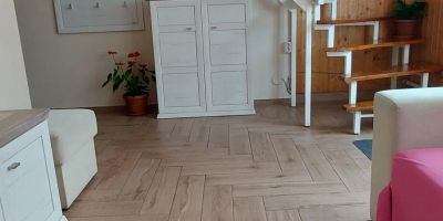 Erika Hàz Balatonfenyves - foto 5