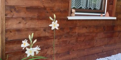 Szőlőfürt Apartman Balatonboglár - foto 3