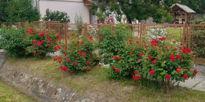 Janka Vendégház Abádszalók - foto 3
