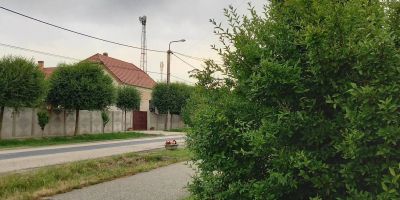 Vidám Ház Sopronkövesd - foto 2