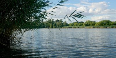 Kis Tisza Horgász Vendégház Tiszaug - foto 5
