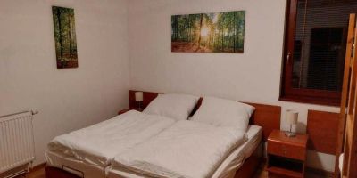 Chata Salma Jeseníky Dolní Moravice - foto 4