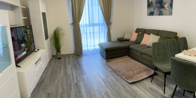 Apartament Andre Băile Felix - foto 2