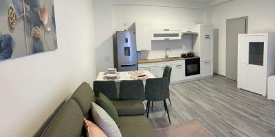 Apartament Andre Băile Felix - foto 3