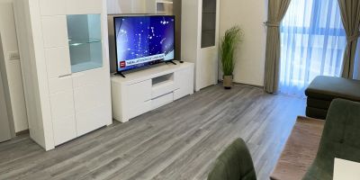Apartament Andre Băile Felix - foto 4