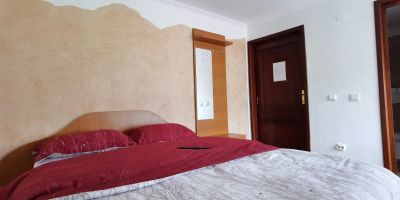 Pensiunea Dor de Munte Arefu - foto 3