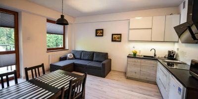Apartamenty Sun & Snow Zielony Las Krynica-Zdrój - foto 3