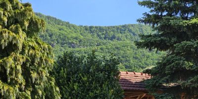 ZsongLak Vendégház Kővágószőlős - foto 2