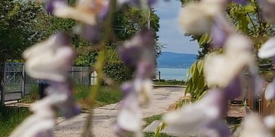Jenna Apartments - Pinka Balatonszárszó - foto 5
